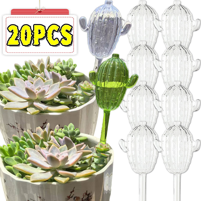 Gardening Tools For Beginners - Unique Clear Plant Watering Can Cactus