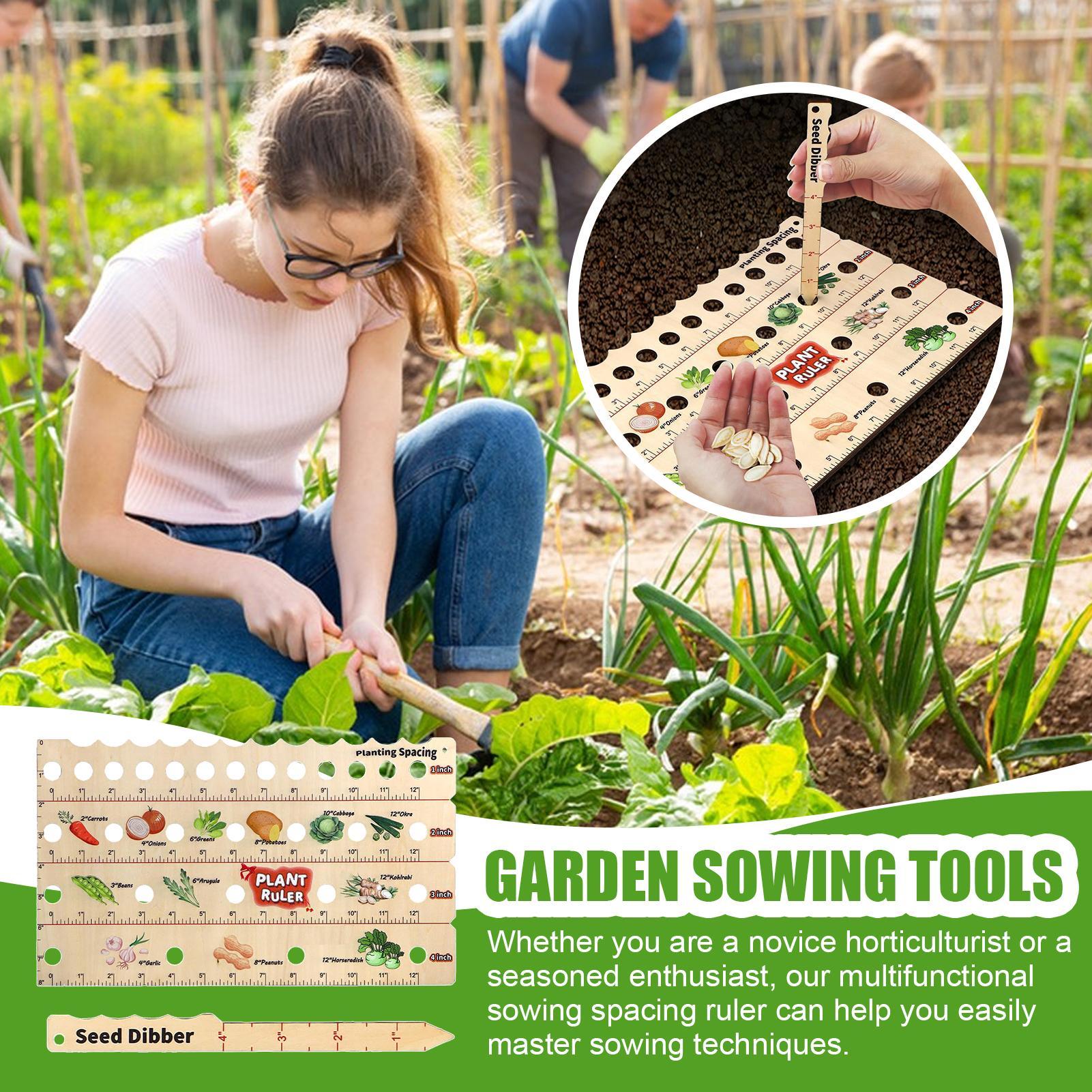 Wooden Plant Spacing Ruler Gar - Gardening Tools For Beginners 리뷰 및 가격