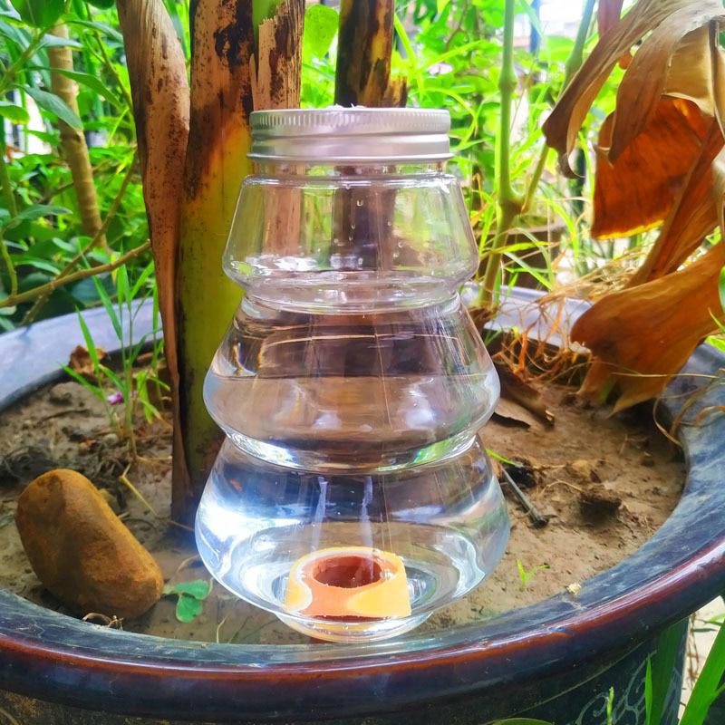 1pc Garden Automatic Watering  - Root Watering Spike 리뷰 및 가격