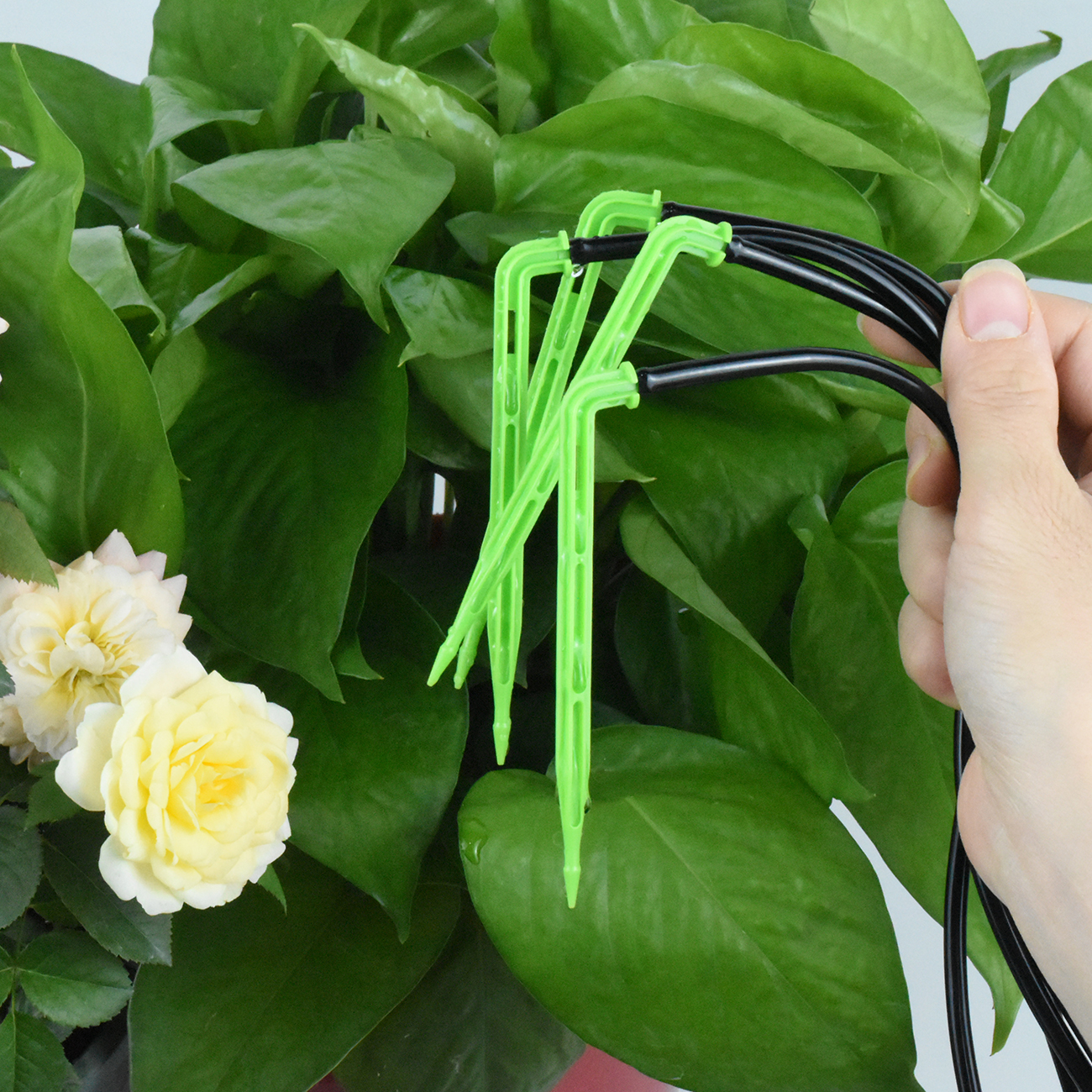 KESLA Garden 4/7mm to 3/5mm Ho - Root Watering Spike 리뷰 및 가격