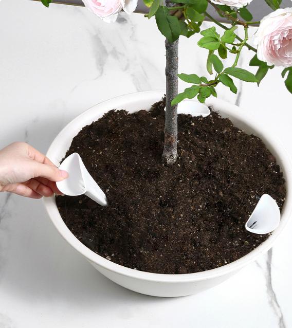 Garden Bonsai Bottom Breathabl - Root Watering Spike 리뷰 및 가격