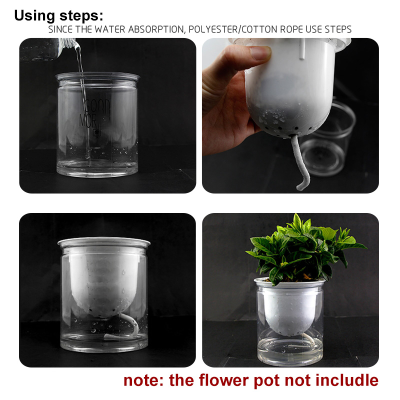 Self Watering Cotton Wick Rope - Root Watering Spike 리뷰 및 가격
