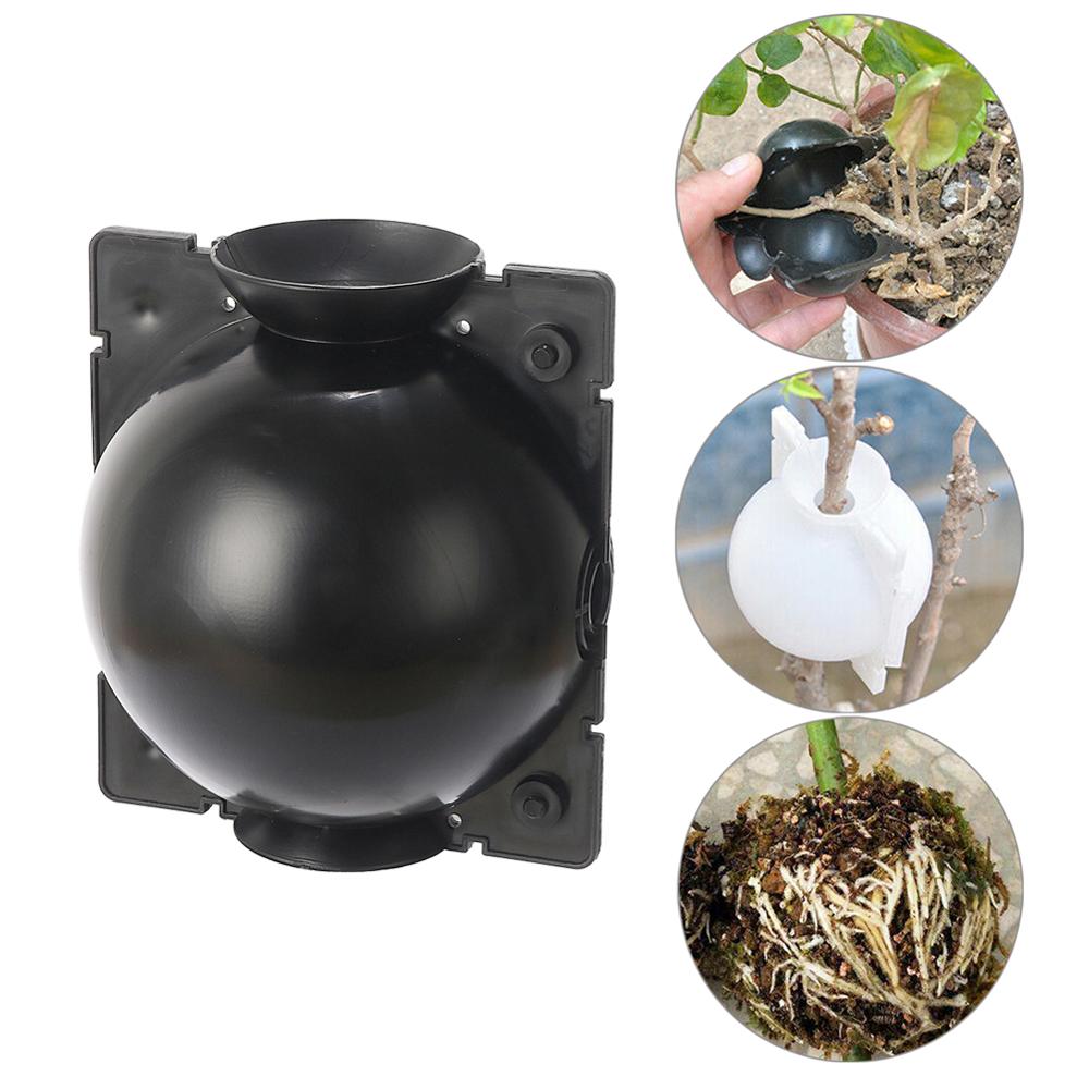 Plant High-Pressure Breeding B - Root Watering Spike 리뷰 및 가격