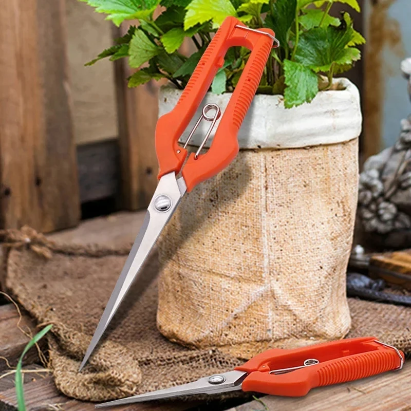 Pruning Shears Grape Scissors  - Gardening Tools For Beginners 리뷰 및 가격