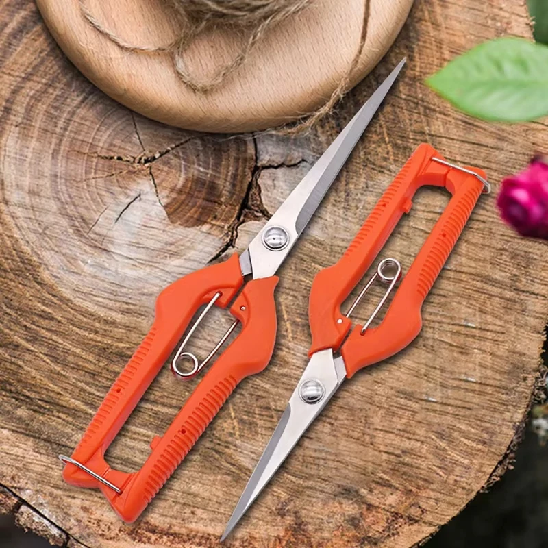 Pruning Shears Grape Scissors  - Gardening Tools For Beginners 리뷰 및 가격