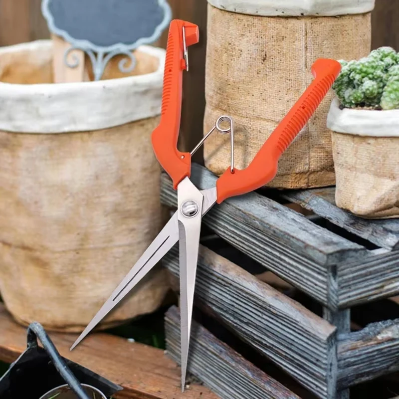 Pruning Shears Grape Scissors  - Gardening Tools For Beginners 리뷰 및 가격