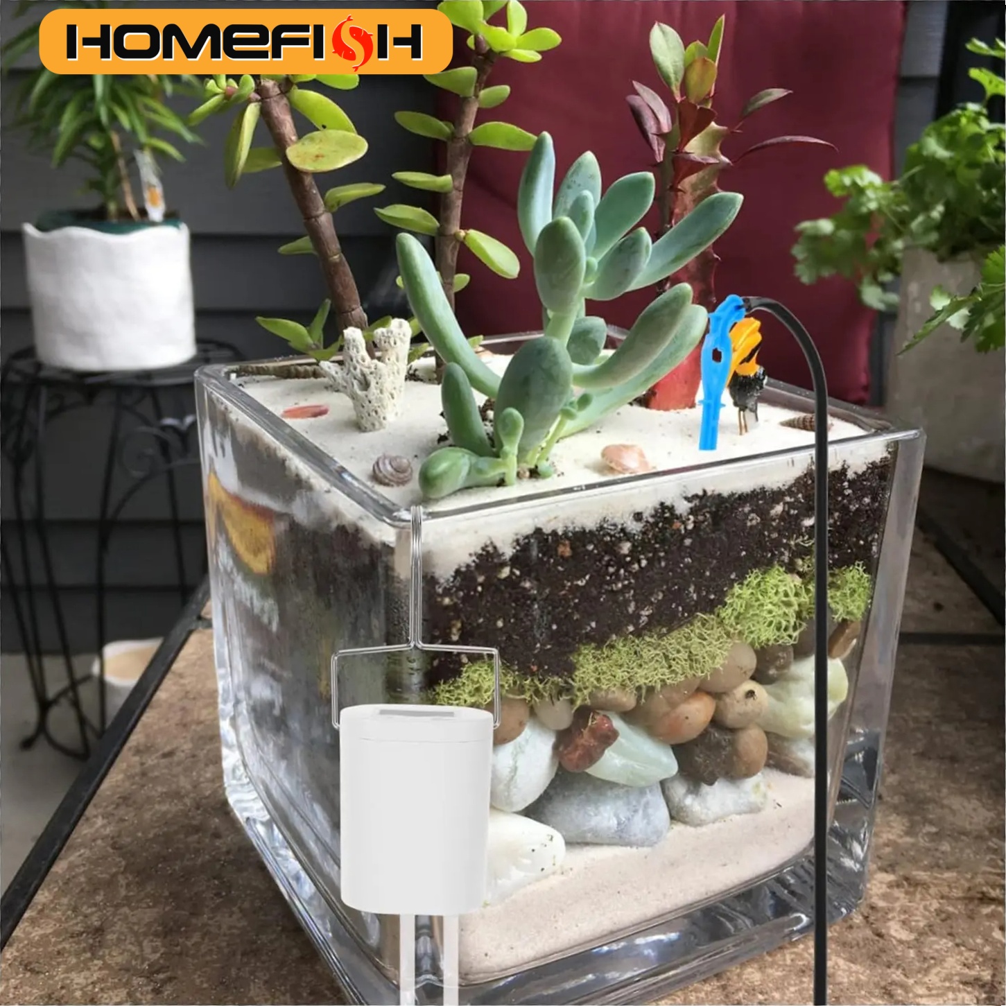 HOMEFISH Automatic Plant Flowe - Gardening Tools Kit For Home Garden 리뷰 및 가격