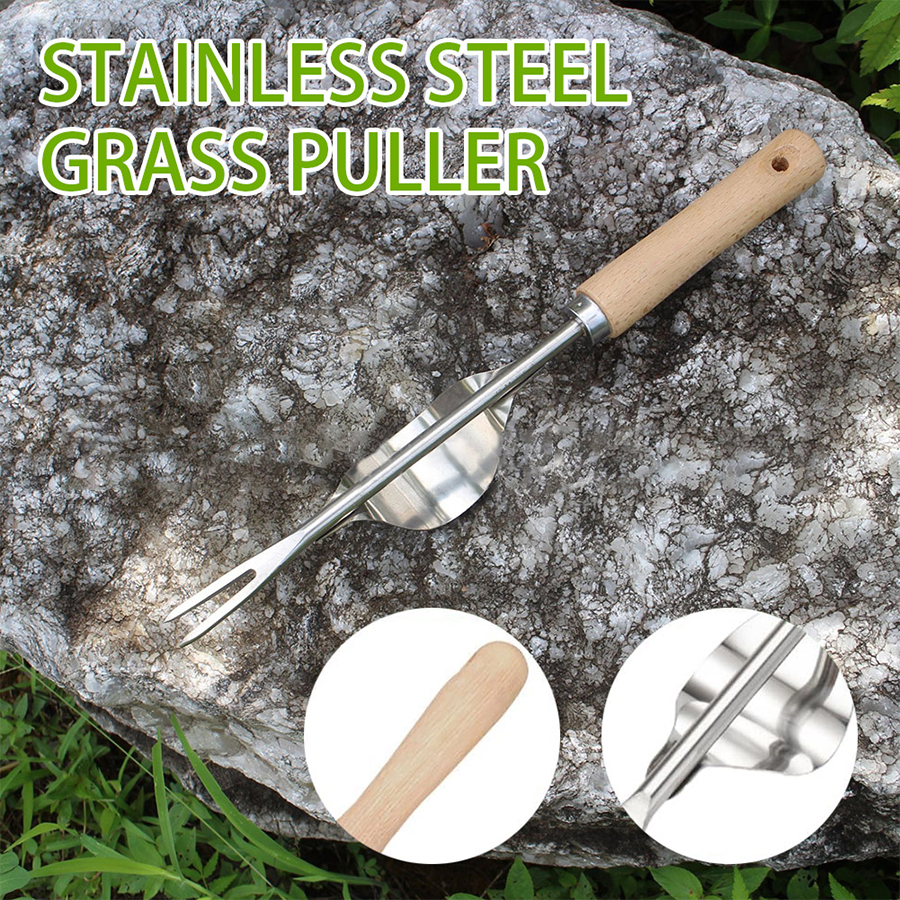 Handheld Weeder Tool Stainless - Root Watering Spike 리뷰 및 가격