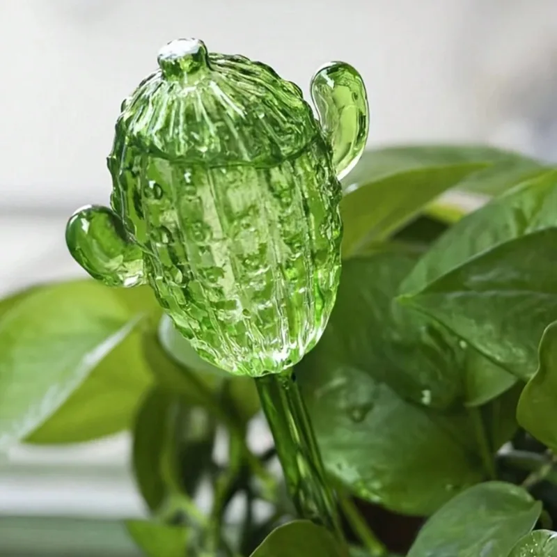 Unique Clear Plant Watering Ca - Gardening Tools For Beginners 리뷰 및 가격