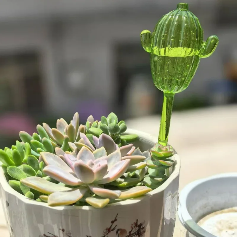 Unique Clear Plant Watering Ca - Gardening Tools For Beginners 리뷰 및 가격