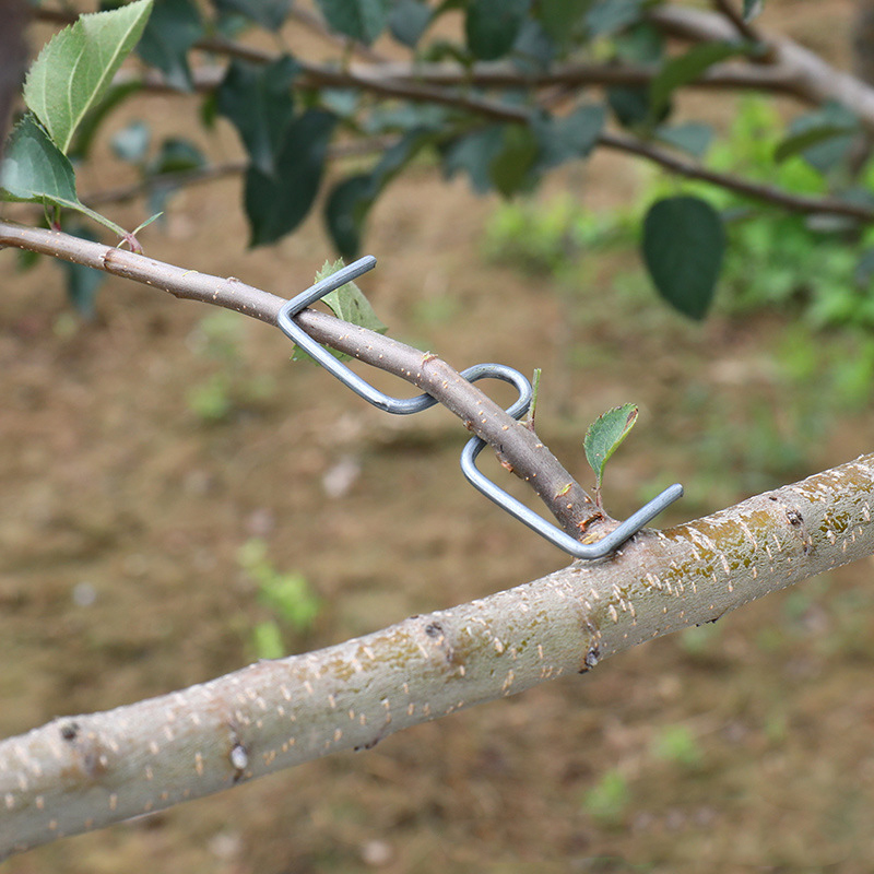 30pcs/set Fruit Tree Branch Pu - Root Watering Spike 리뷰 및 가격