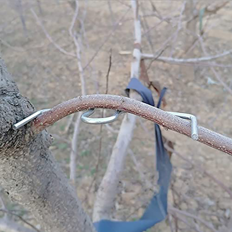 30pcs/set Fruit Tree Branch Pu - Root Watering Spike 리뷰 및 가격