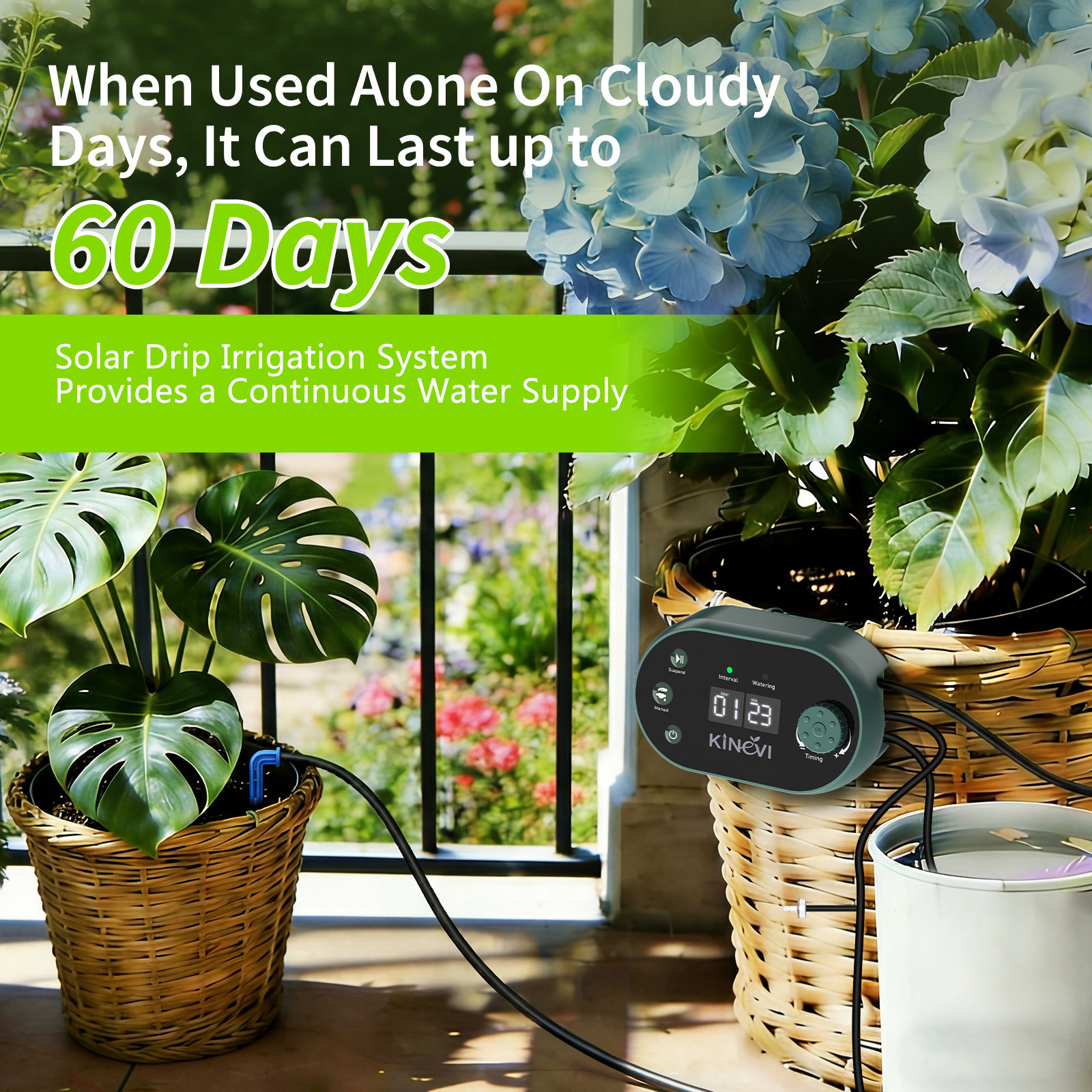 Solar Irrigation System Automa - Root Watering Spike 리뷰 및 가격