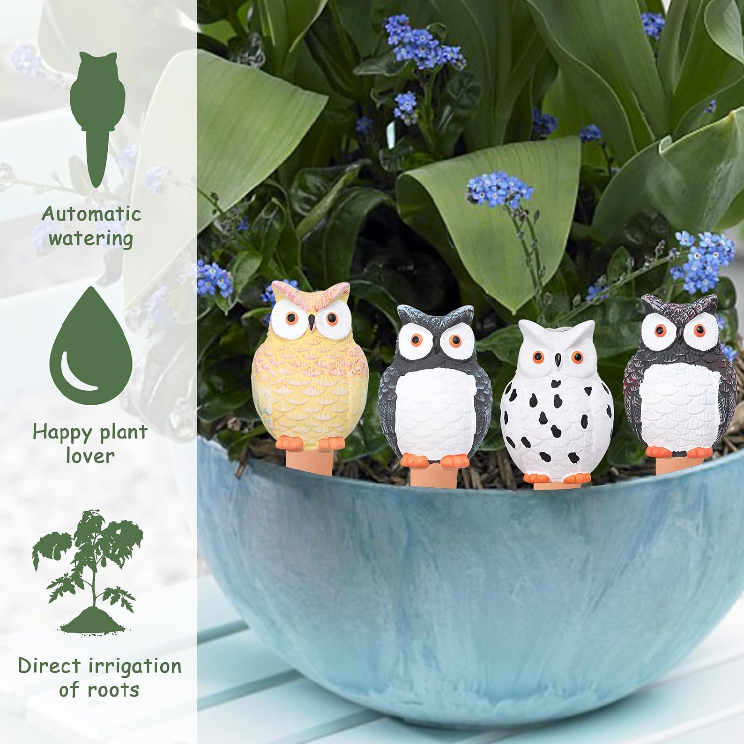 Self Plant Watering Globes Ter - Root Watering Spike 리뷰 및 가격