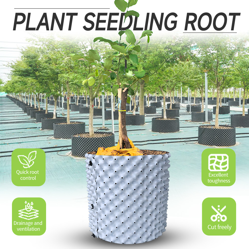 Thickened Enlarged Dual Color  - Root Watering Spike 리뷰 및 가격