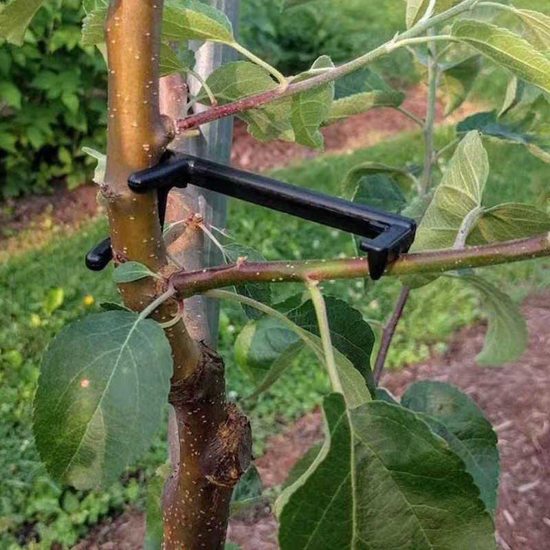 Fruit Tree Branch Puller Plant - Root Watering Spike 리뷰 및 가격