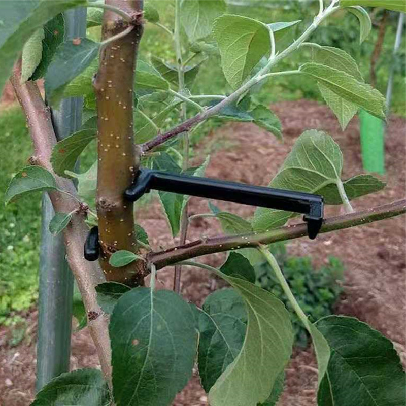 Fruit Tree Branch Puller Plant - Root Watering Spike 리뷰 및 가격