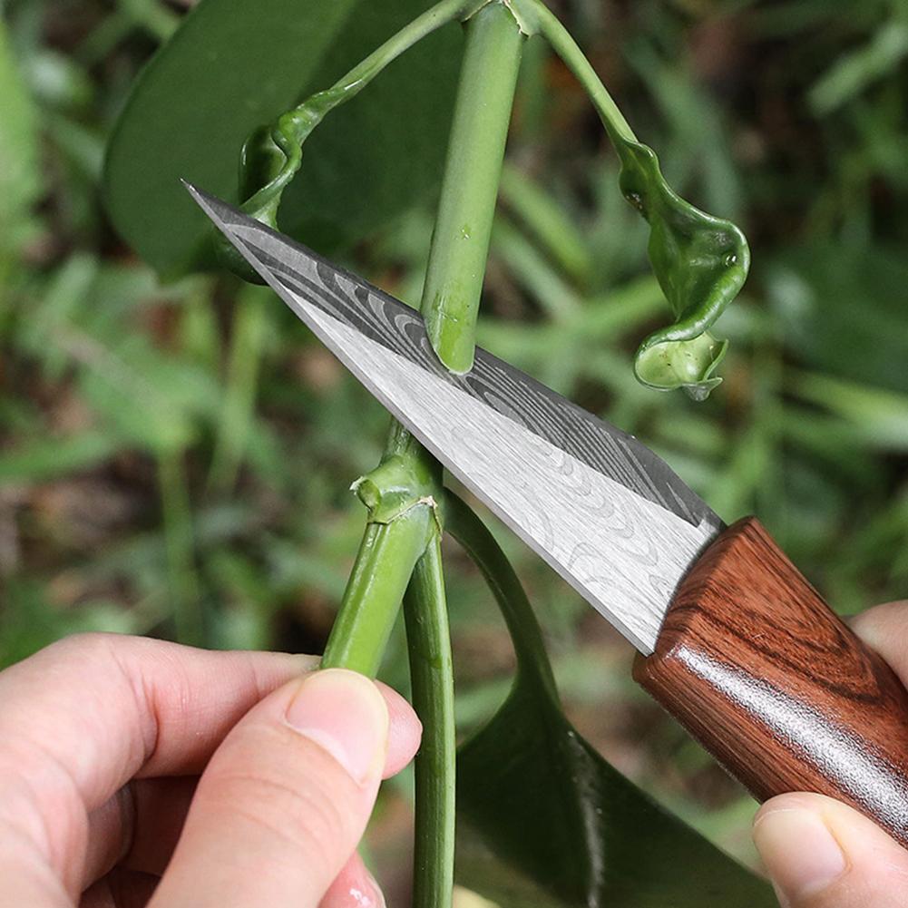 Sharp Grafting Knife with Wood - Gardening Tools For Beginners 리뷰 및 가격