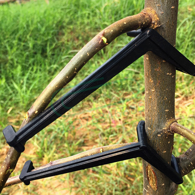 10-30Pcs Fruit Tree Clips Plan - Root Watering Spike 리뷰 및 가격
