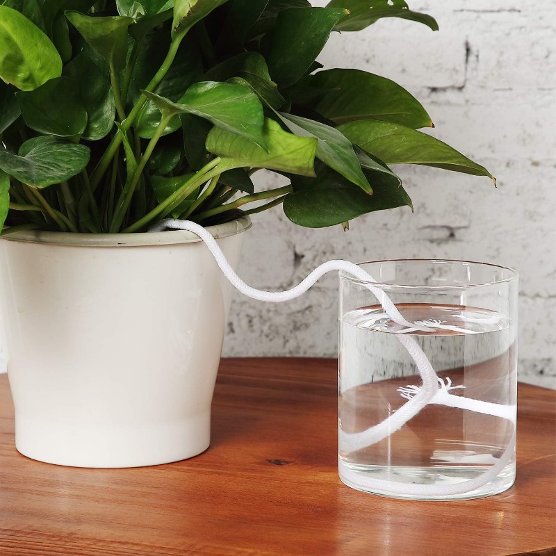 4/5/6mm Self-Watering Cotton R - Root Watering Spike 리뷰 및 가격