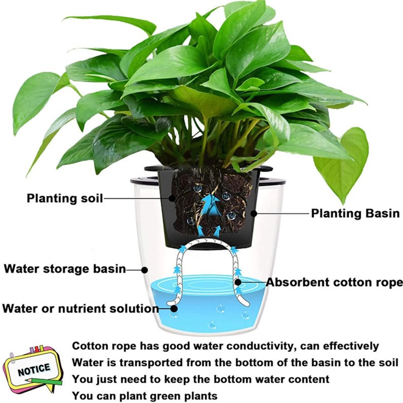 4/5/6mm Self-Watering Cotton R - Root Watering Spike 리뷰 및 가격