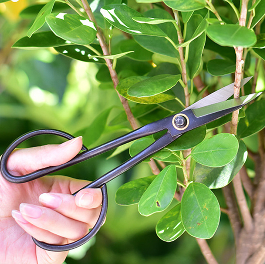 20.5cm Beginner Bonsai Tool Lo - Gardening Tools For Beginners 리뷰 및 가격