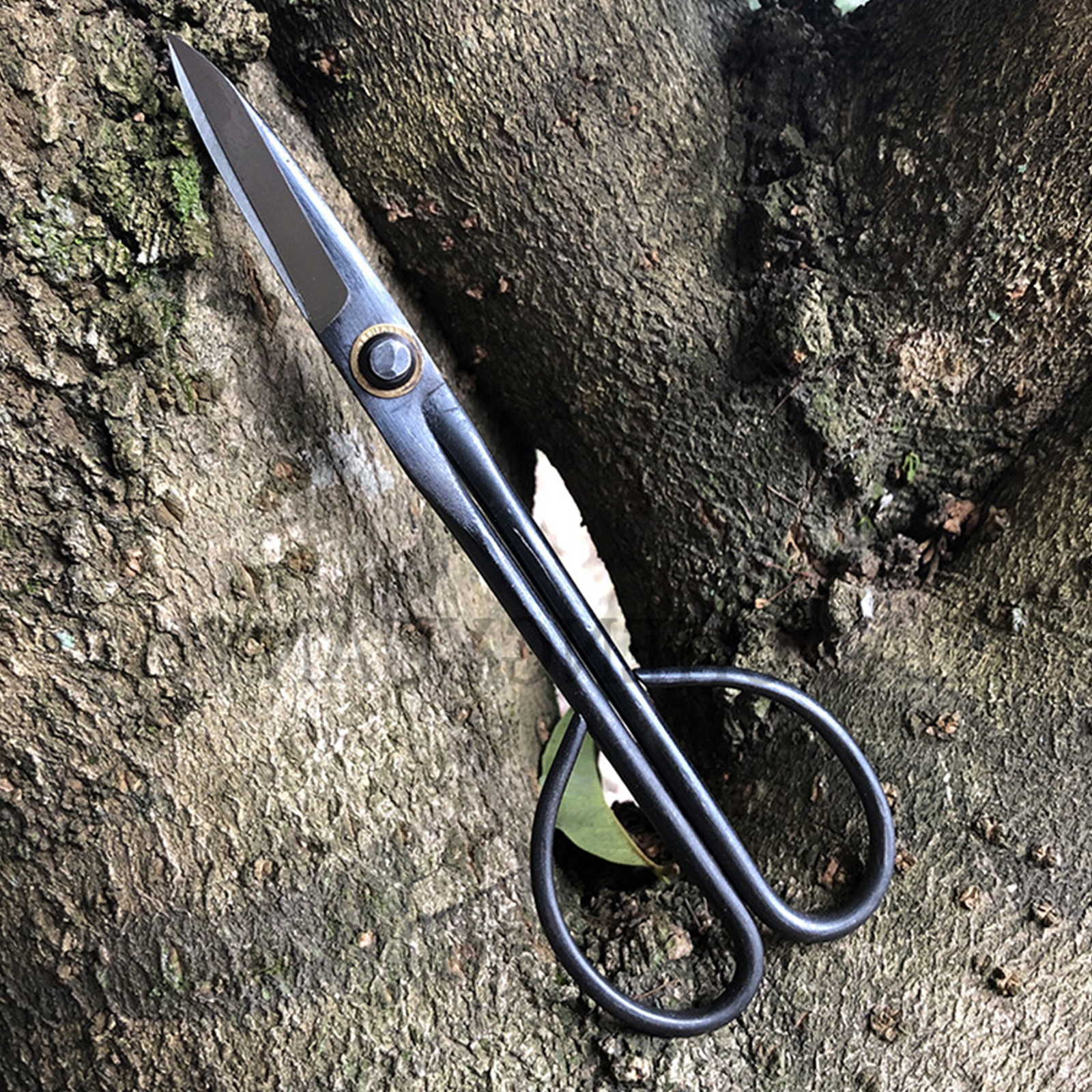 20.5cm Beginner Bonsai Tool Lo - Gardening Tools For Beginners 리뷰 및 가격